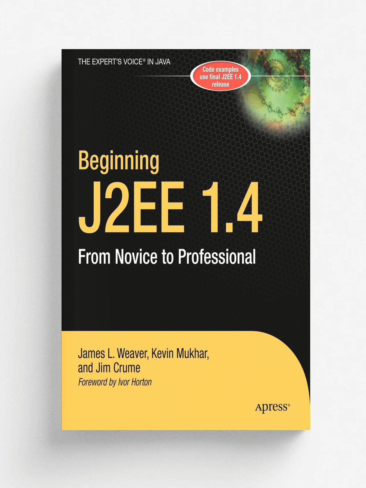 Beginning J2EE 1.4. From Novice to Professional