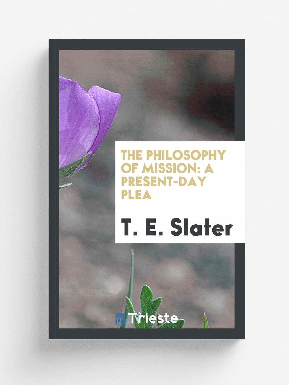 The philosophy of mission
