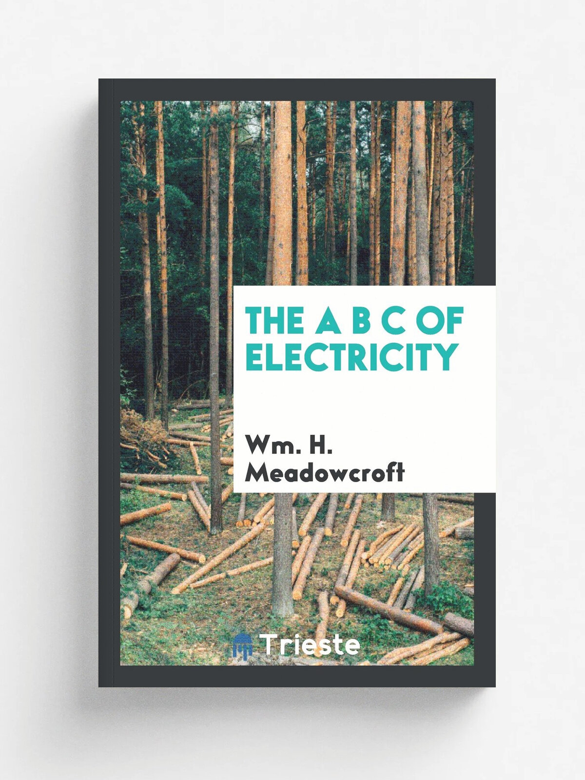 The A B C of Electricity