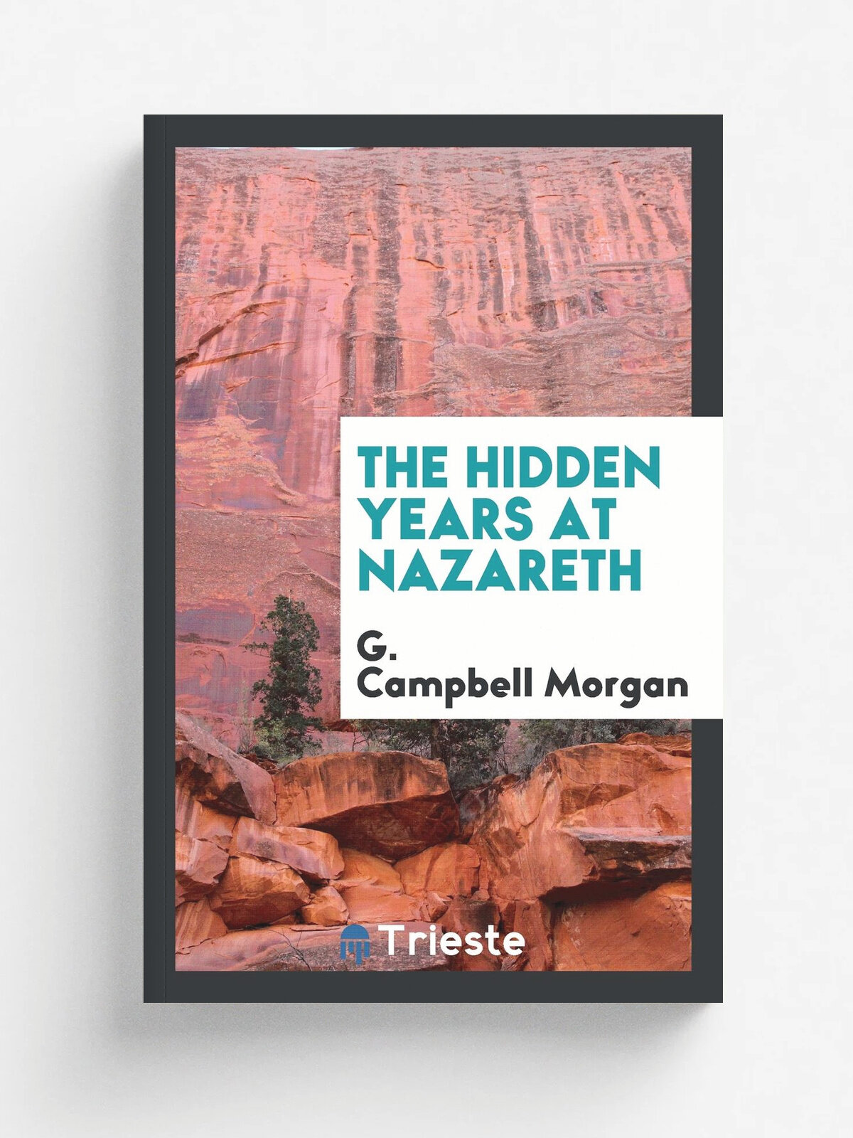 The hidden years at Nazareth
