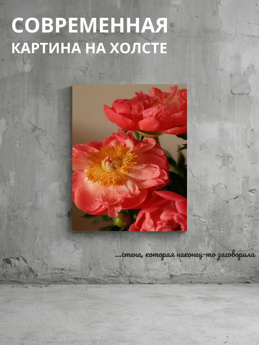 Картина на холсте Пионы 50x70 см
