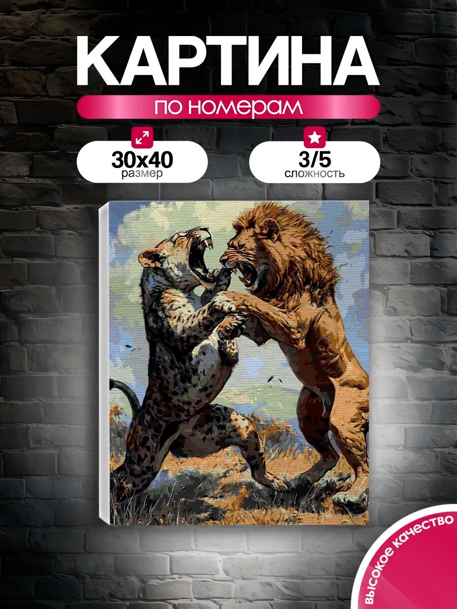 Картина по номерам 30x40 Борьба