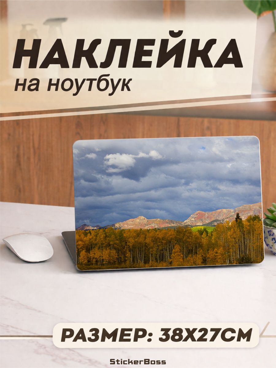 Наклейка на ноутбук Осенние деревья 38х27 см