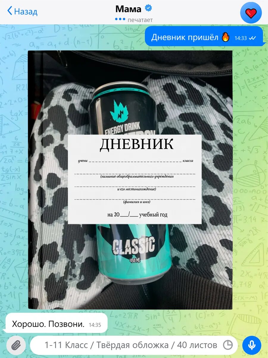Школьный дневник с принтом Роблокс