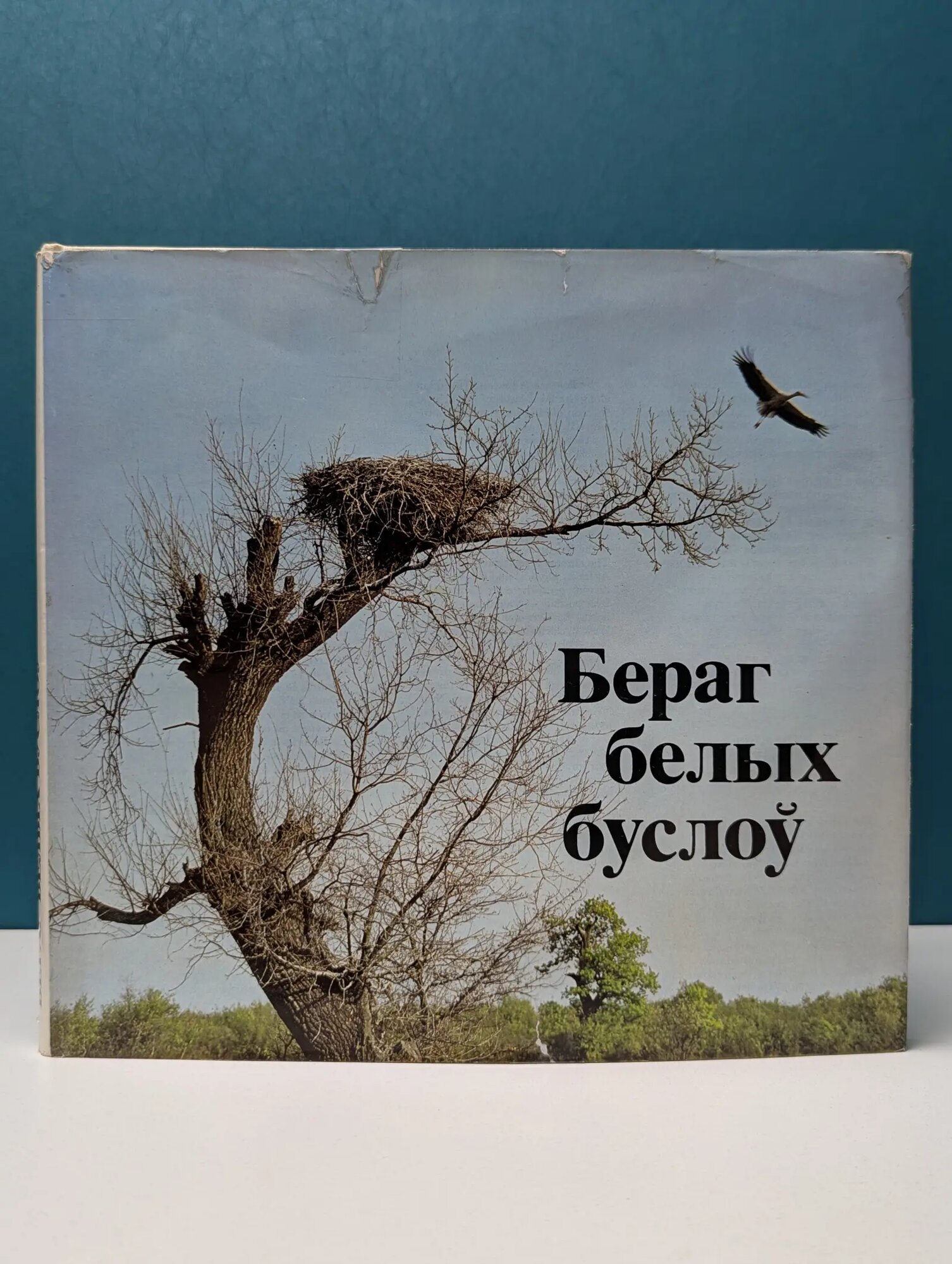 Берег белых аистов Жданович Владимир 1979