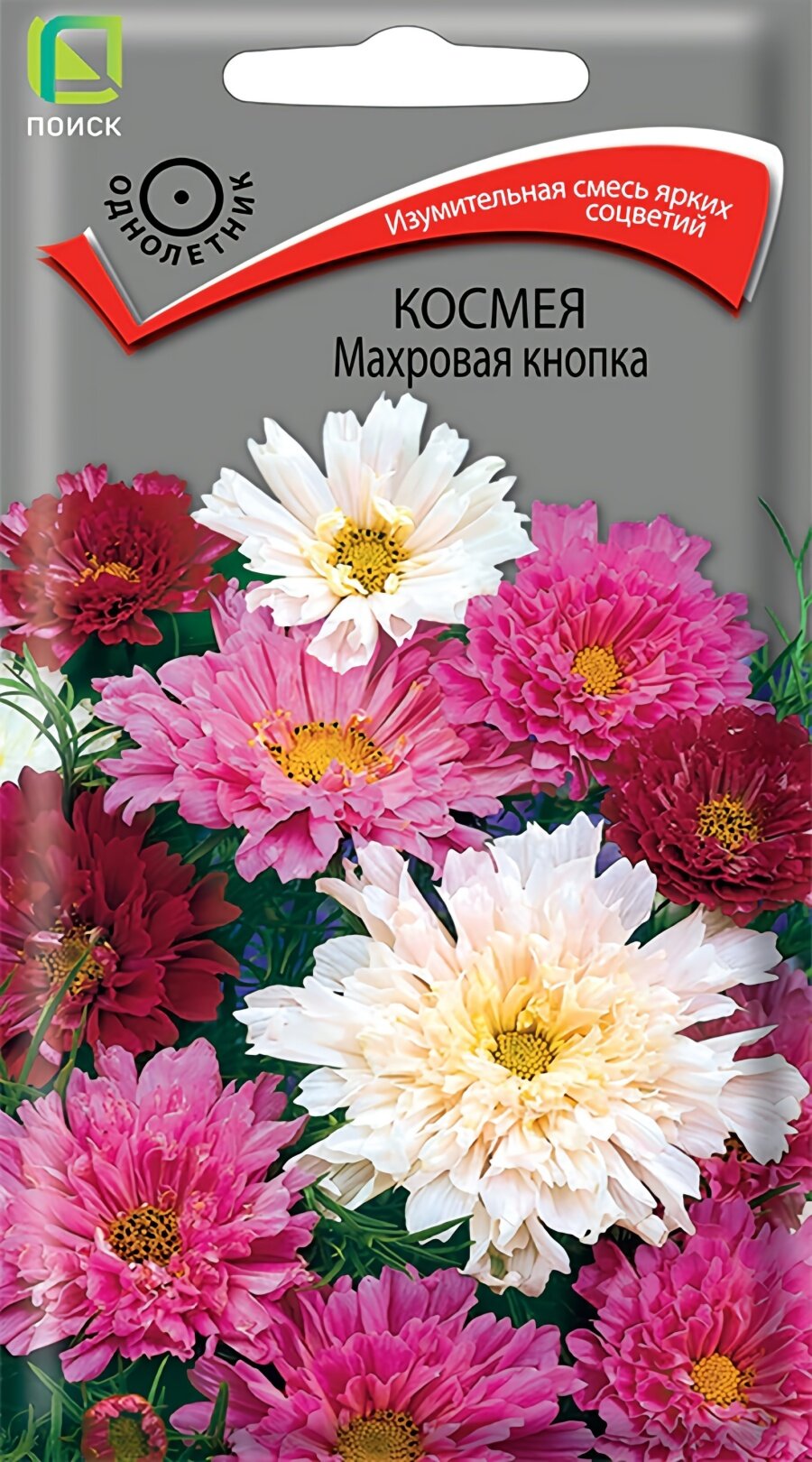 Семена космеи Махровая кнопка, 0,1 г, Поиск, однолетник, высота до 80 см, посев в грунт в апреле–мае, для солнечных мест