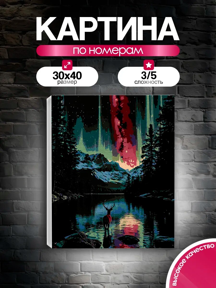 Картина по номерам 30x40 Благородный олень