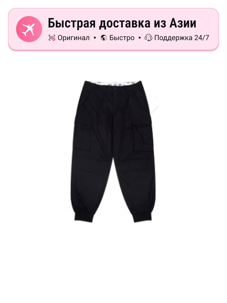 Брюки спортивные Dickies 9355896