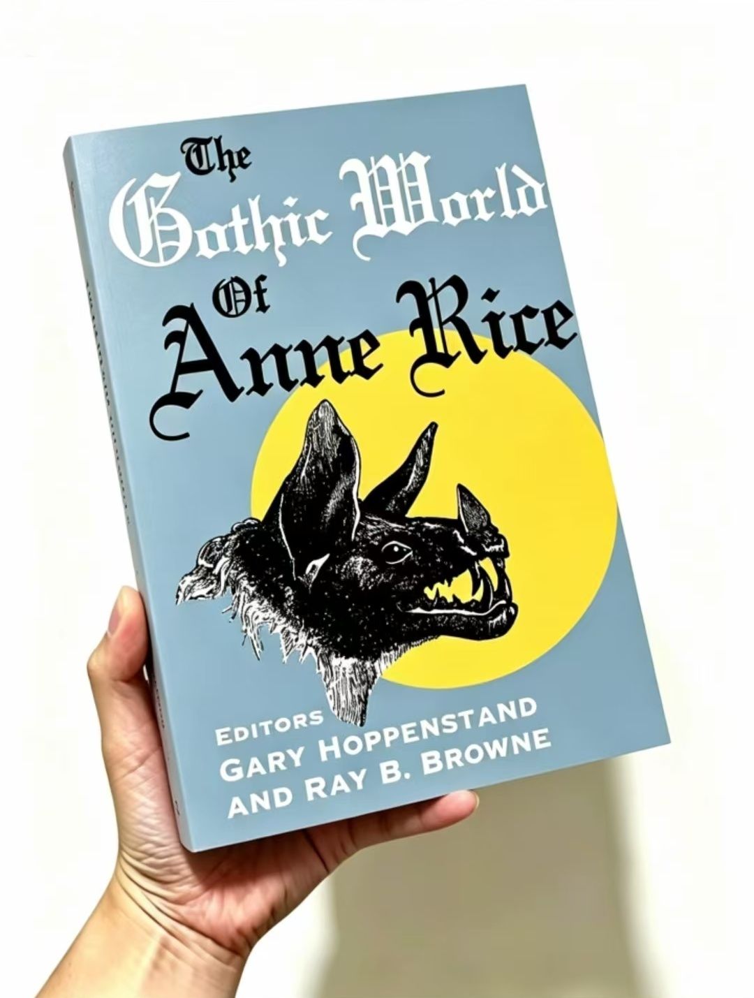 The Gothic World of Anne Rice - Essays on Her Gothic Horror Novels
