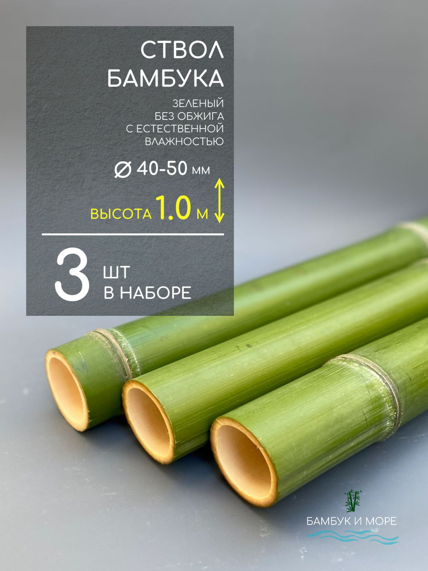 Ствол бамбука зеленый D 40-50 мм / Высота 1 м - 3 шт в наборе. Бамбук натуральный без обжига
