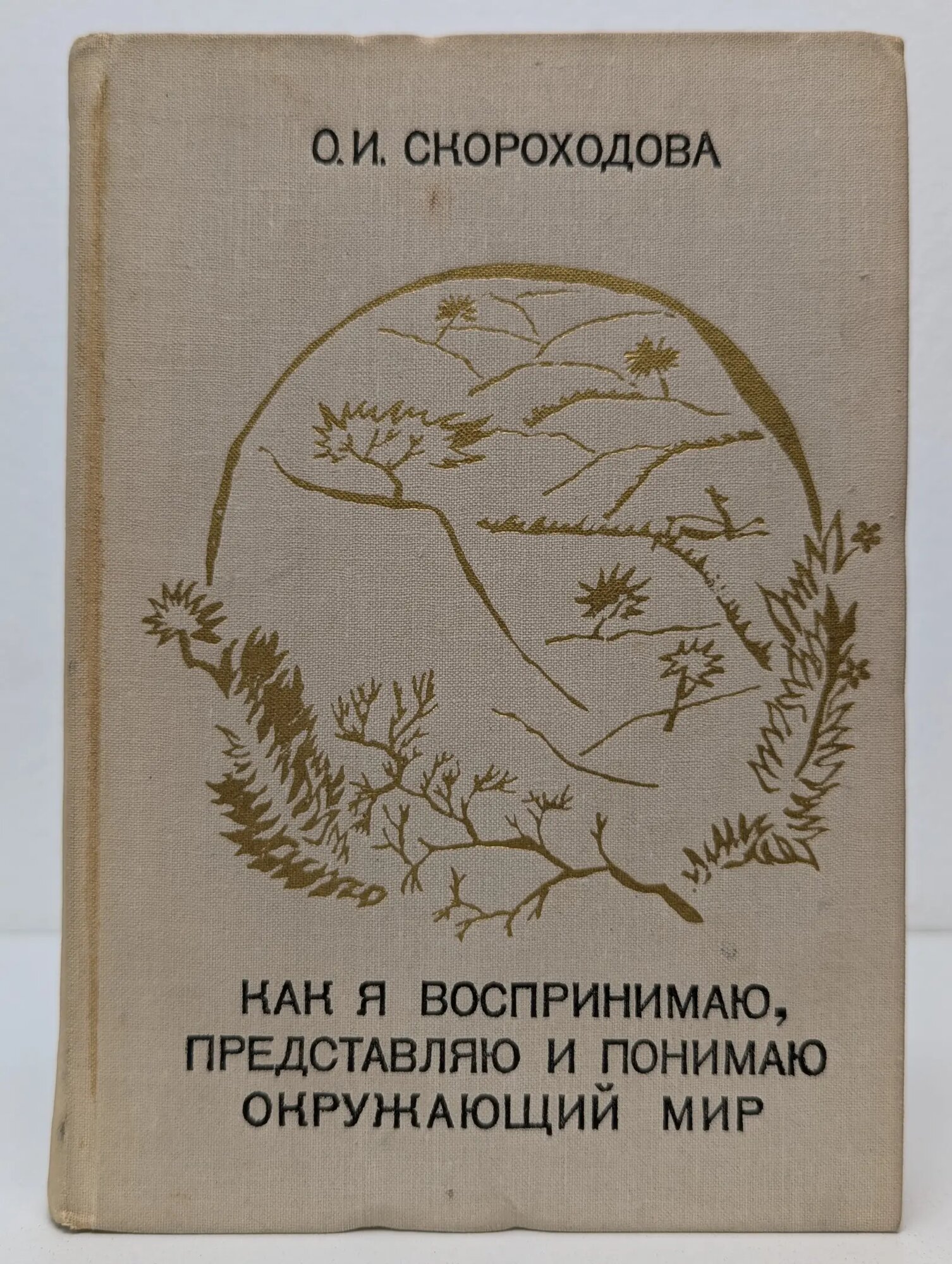 Как я воспринимаю, представляю и понимаю окружающий мир Скороходова Ольга Ивановна 1972