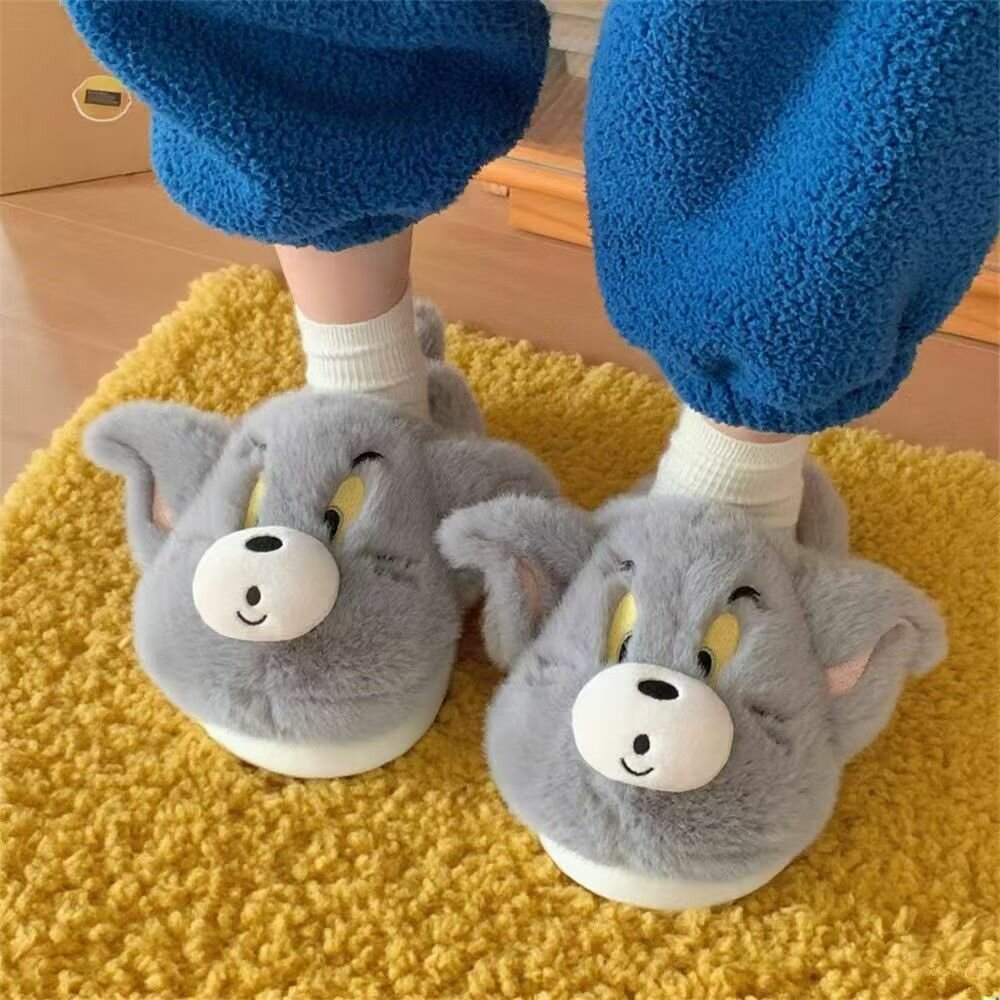 Сланцы Miniso