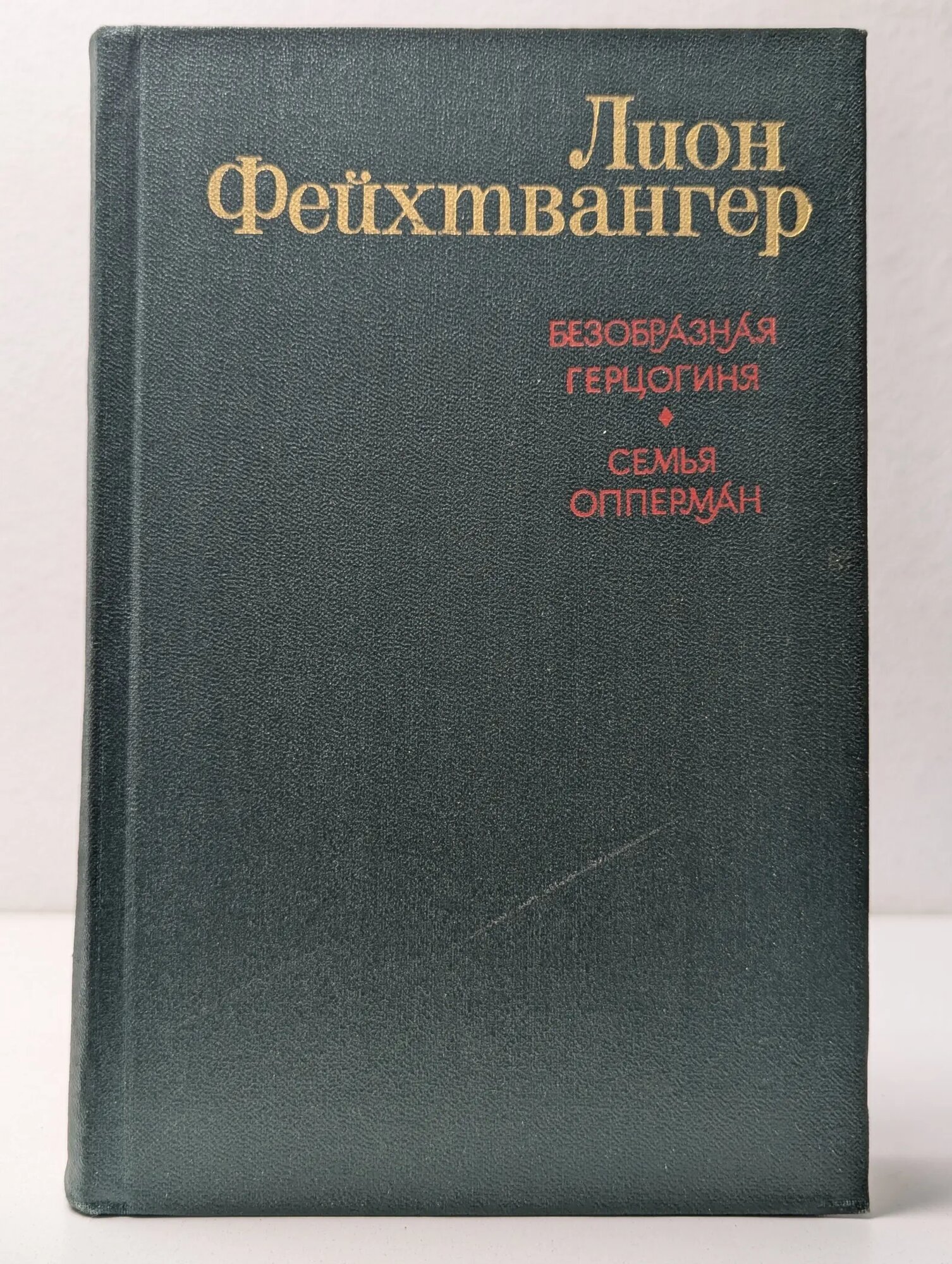 Безобразная герцогиня. Семья Опперман Фейхтвангер Лион 1982