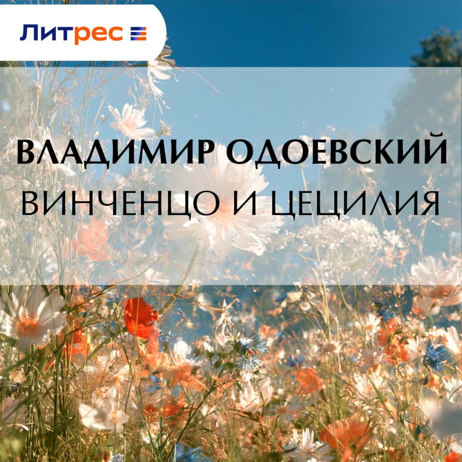 Винченцо и Цецилия [Аудиокнига]