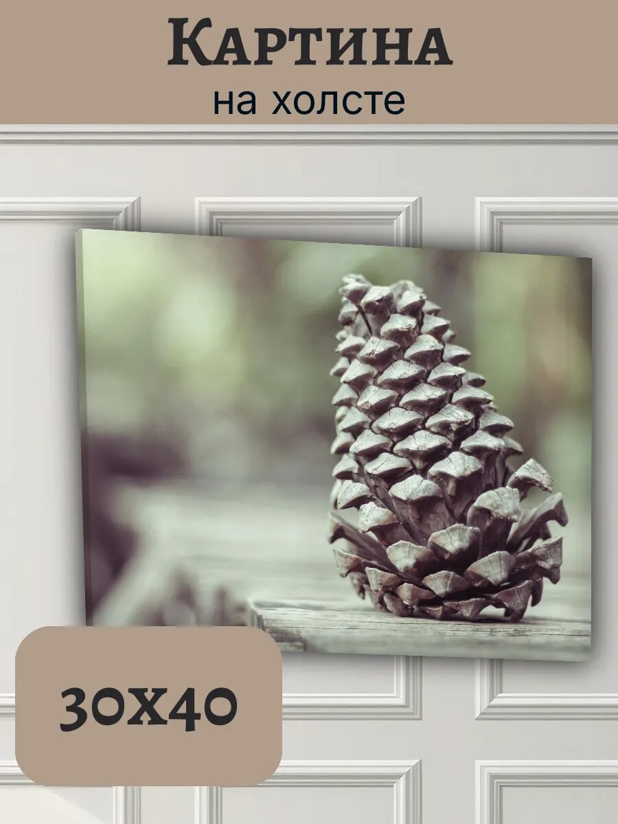 Картина Финляндия Finland 30x40 крупный план сосновой шишки