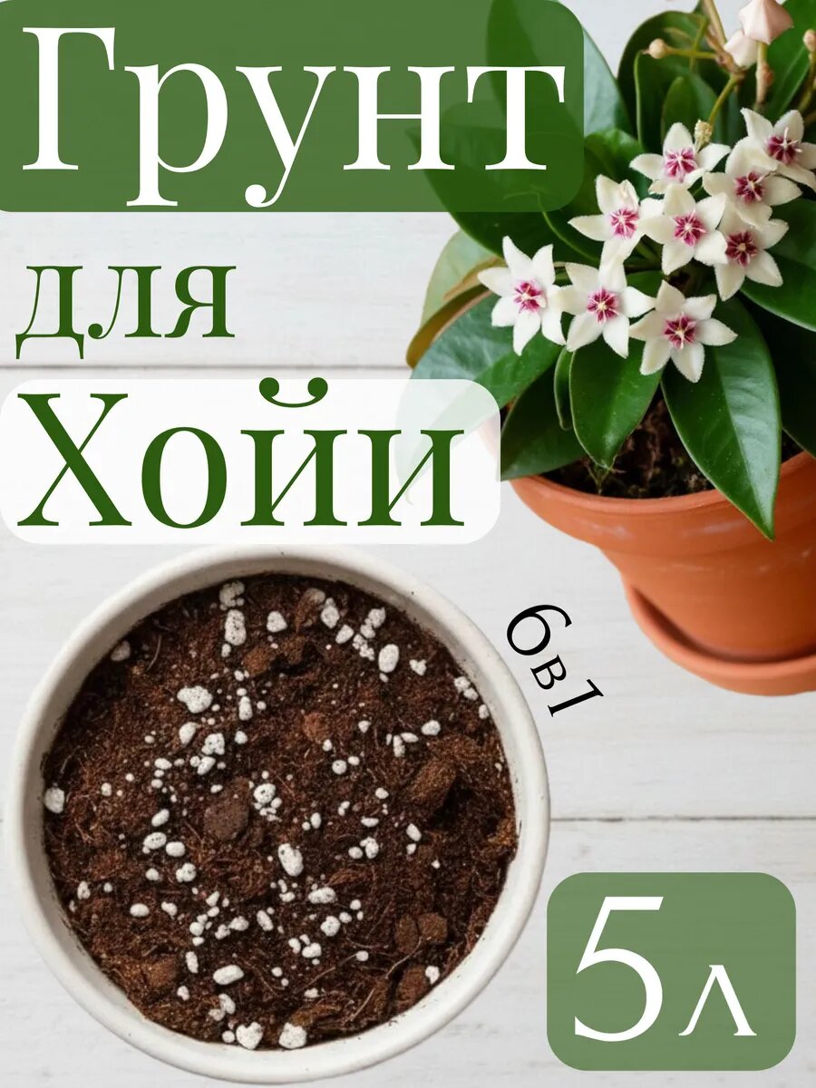 Готовый грунт для Хойи 5 литров