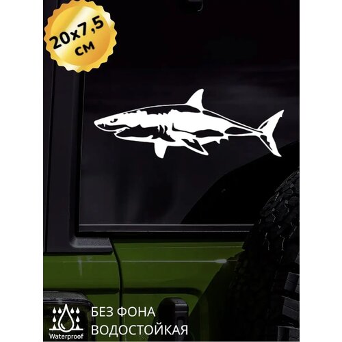 фото Наклейка на авто акула 20х7,5 см top sticker