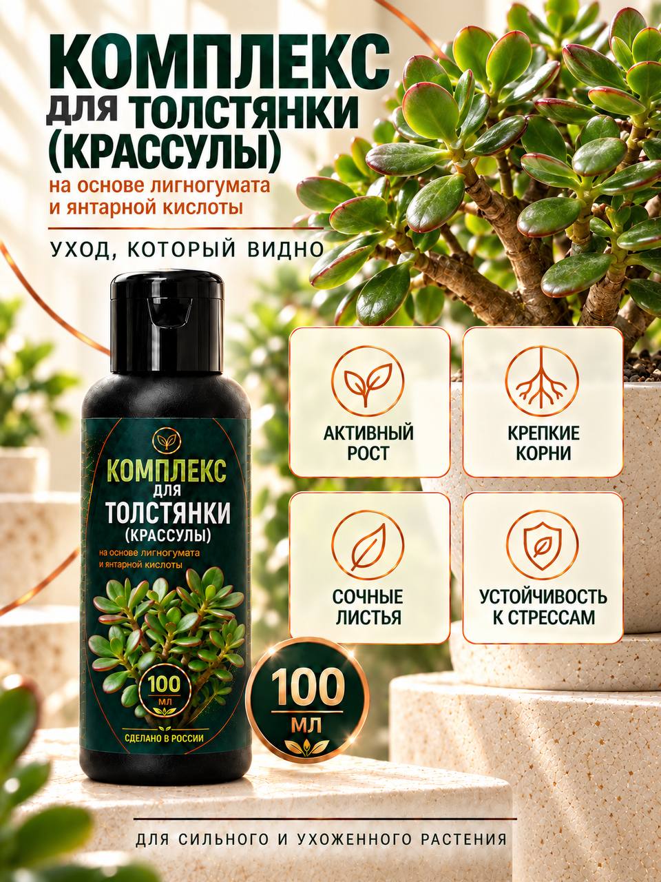 Комплекс для толстянки