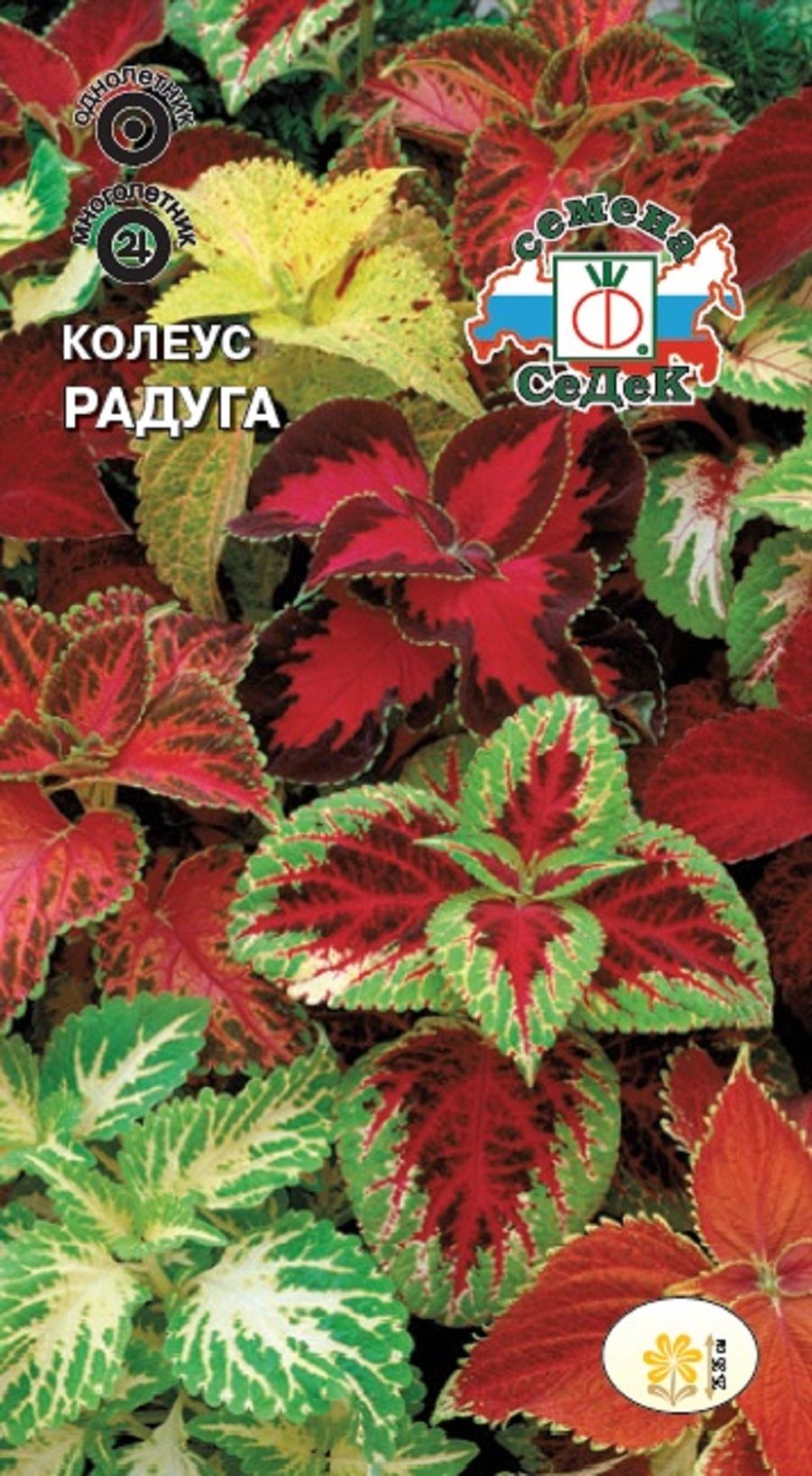 Колеус Радуга (смесь сортов) 0,03г /Седек