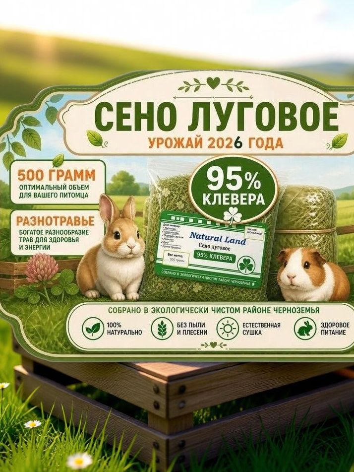 Сено клевер