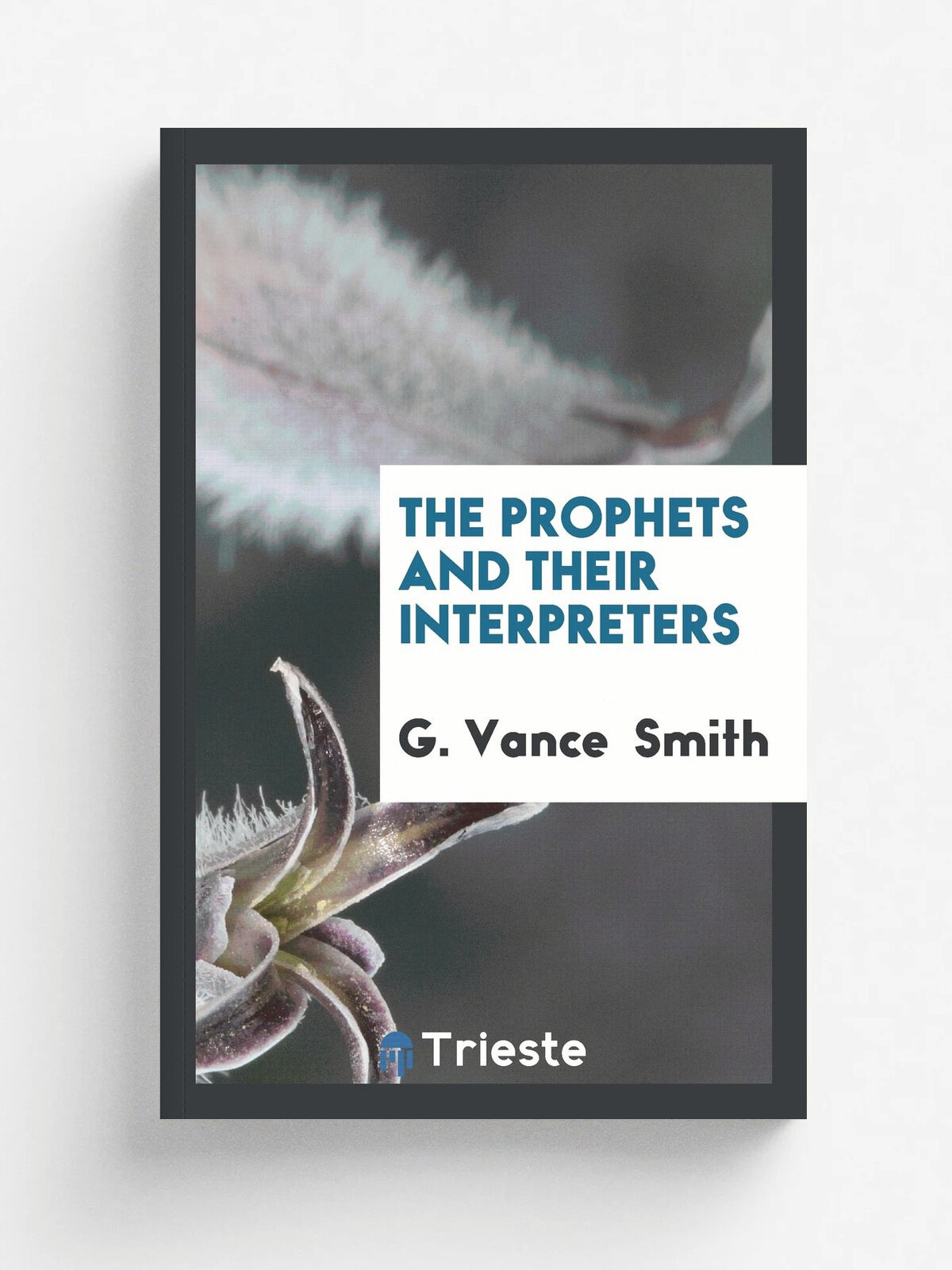 The Prophets and Their Interpreters