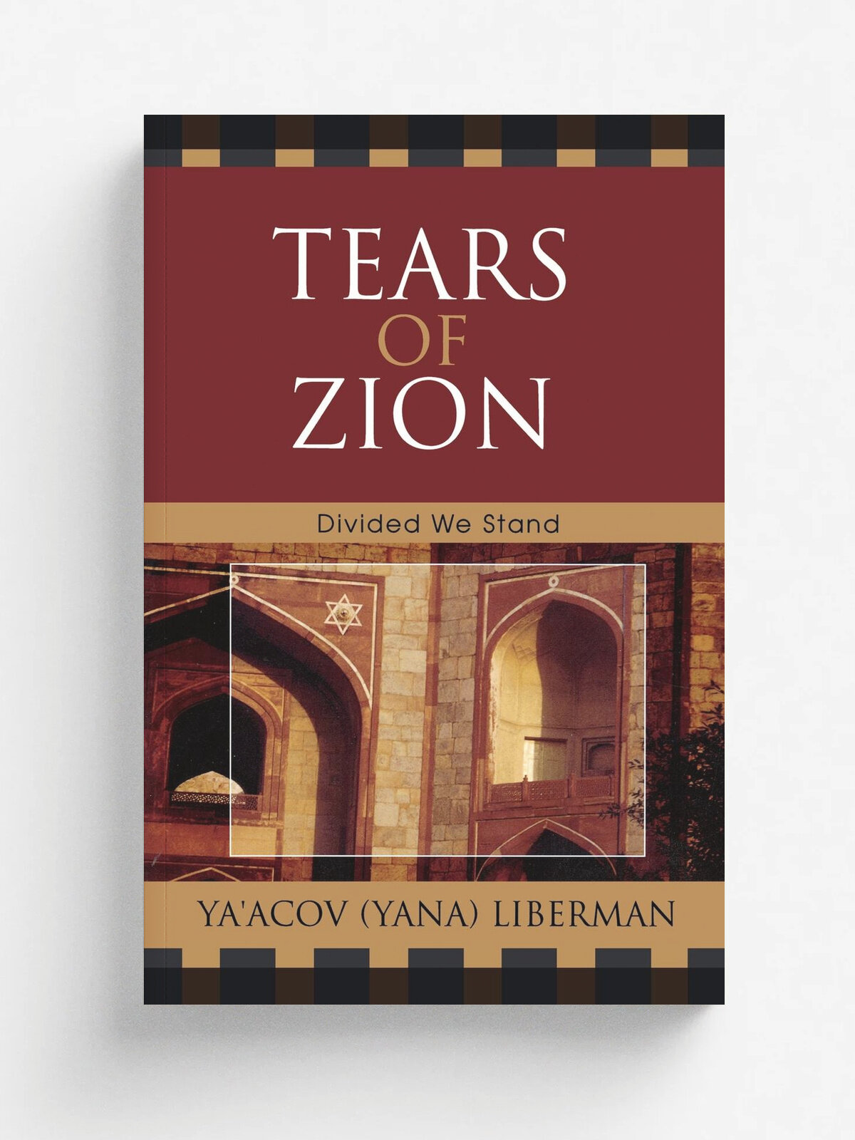 Tears of Zion. Divided We Stand