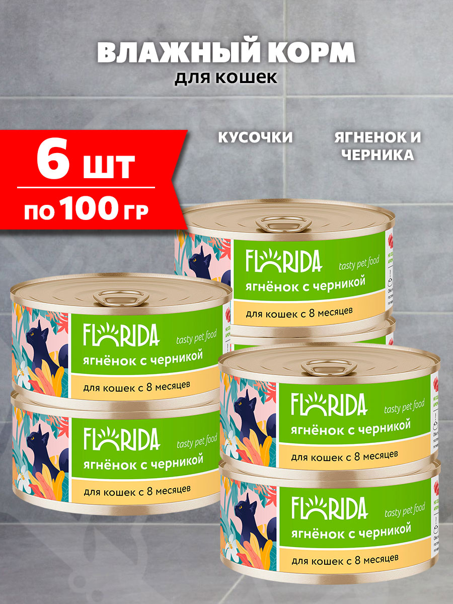 Корм влажный Florida для взрослых кошек, ягненок и черника, 100 г 6 шт