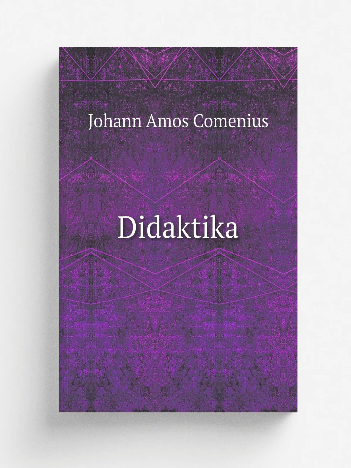 Didaktika | Johann Amos Comenius | 1849 | W Praze, K kommiss. u Riwn.ce | Репринт