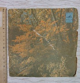 Виниловая пластинка Танцевальная музыка 30-х годов: Рио-Рита; Цыган (М62-37950)