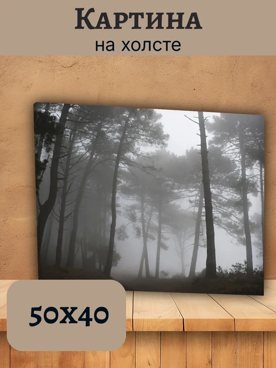 Картина Италия Italy 40x50 атмосферный туманный лес