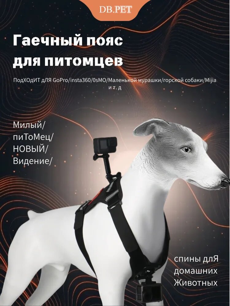 Грудинная шлейка для питомца со встроенным держателем для экшн-камеры. DBPET