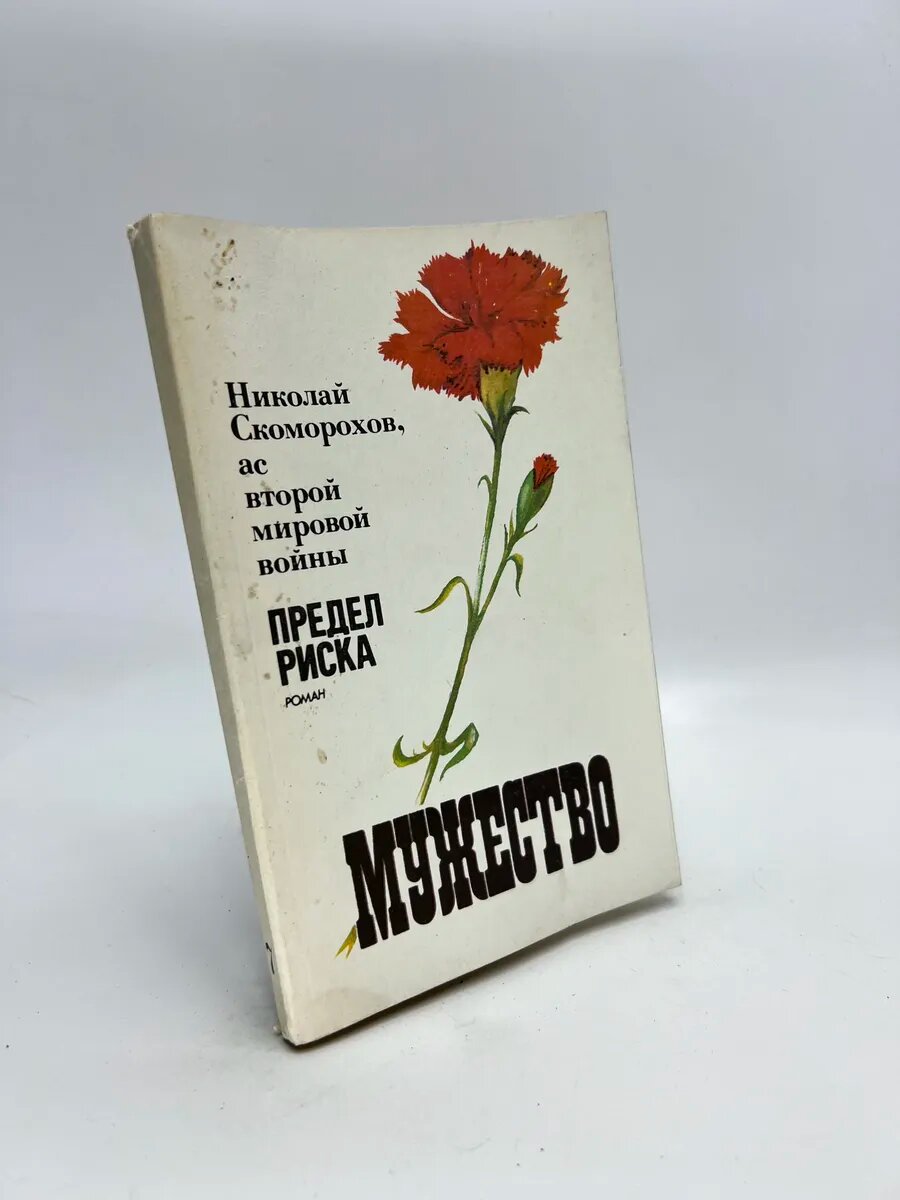 Николай Михайлович Скоморохов. Предел риска