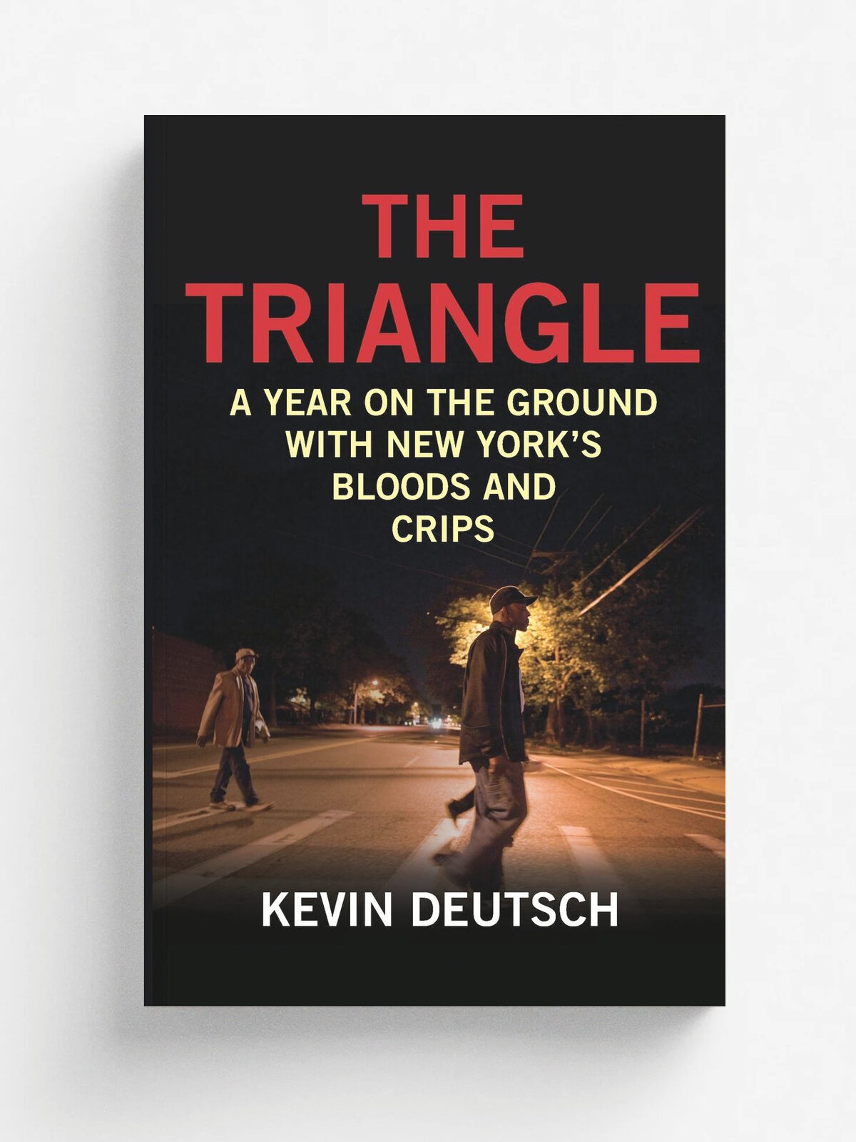 Triangle. A Year on the Ground with New York's Bloods and Crips