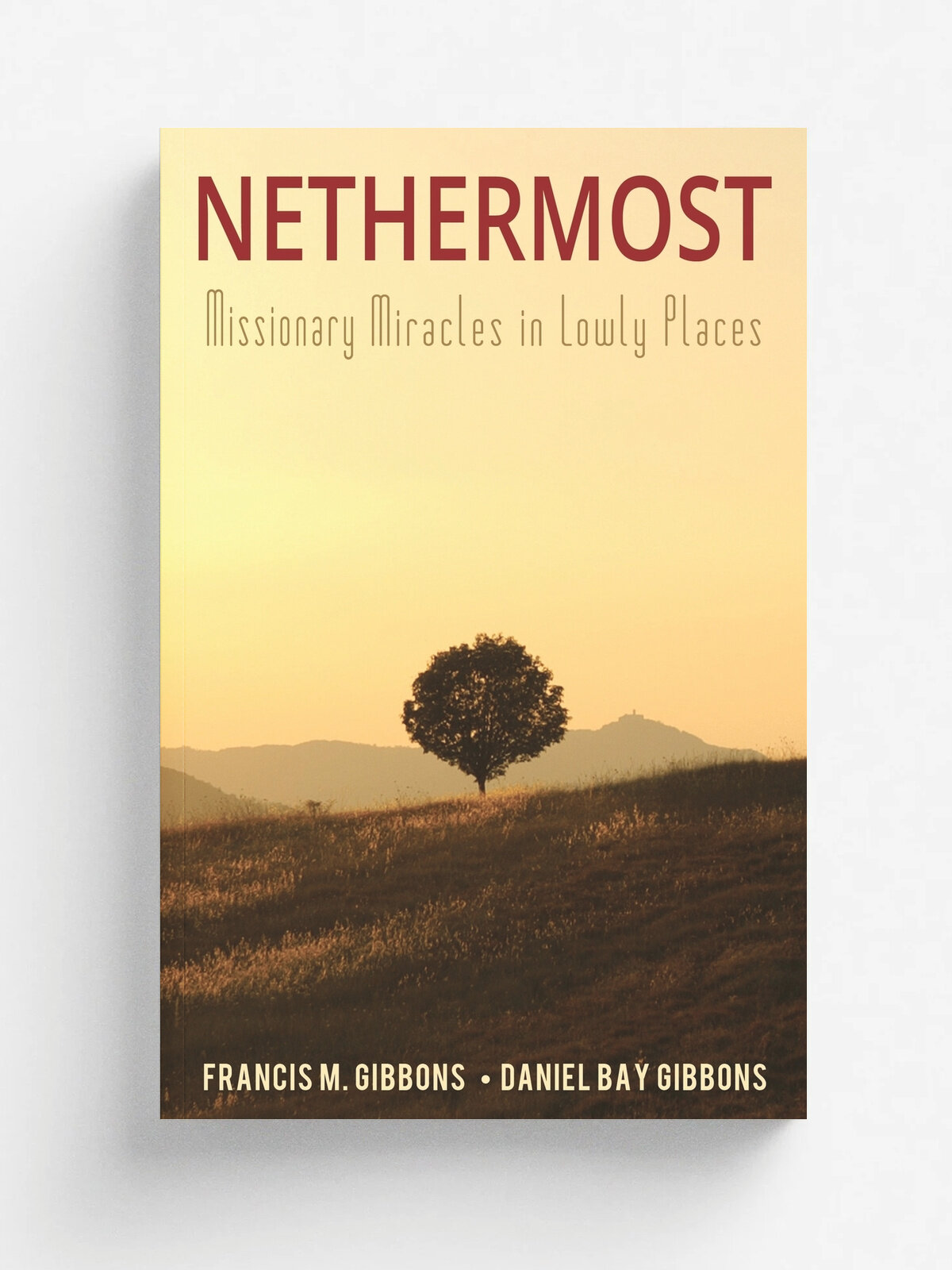 Nethermost. Missionary Miracles in Lowly Places