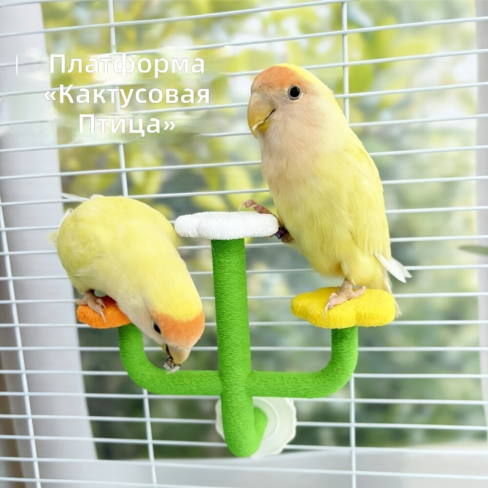 Опорная подставка для попугая в форме кактуса, игрушка и декор для клетки, размер 6.22×5.23 дюйма
