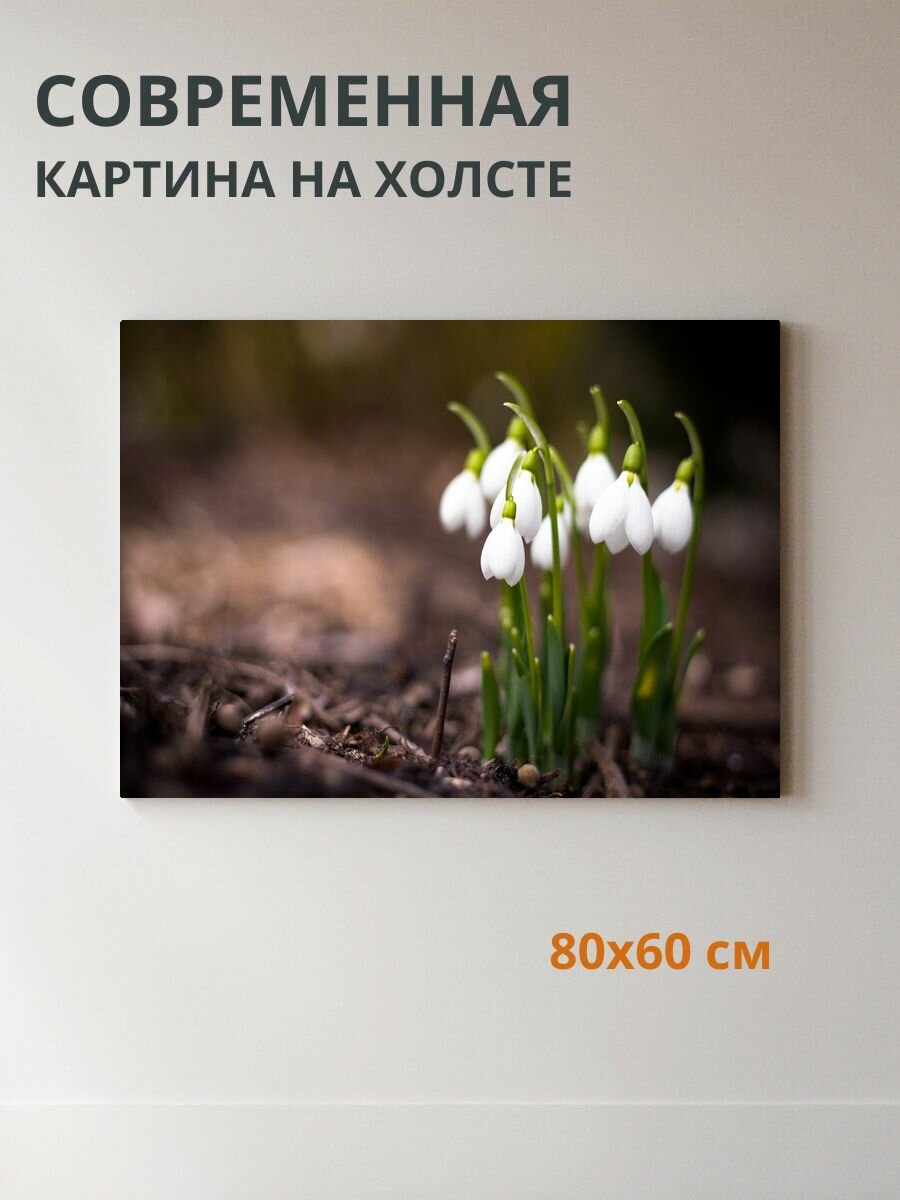 Картина на холсте Подснежники на весеннем лугу 80x60 см
