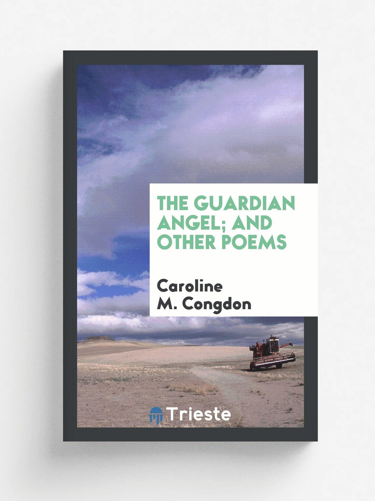 The guardian angel ; and other poems