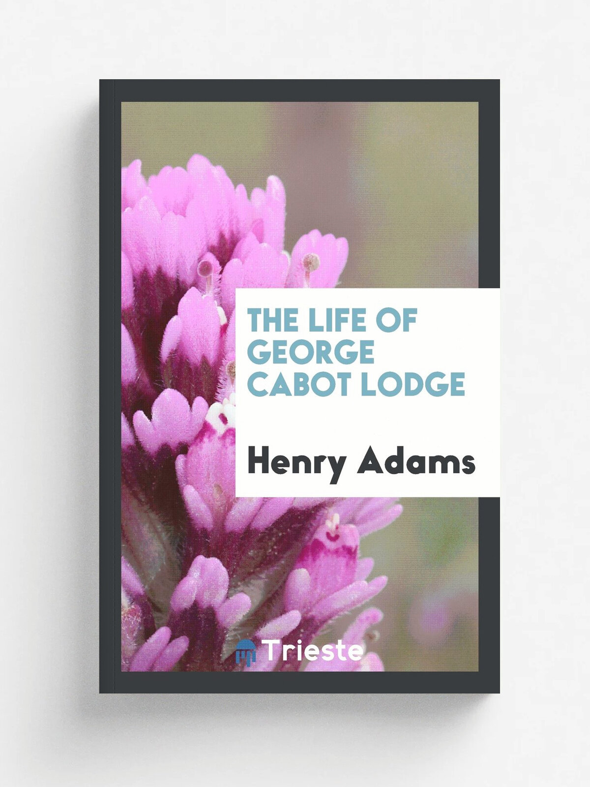 The Life of George Cabot Lodge