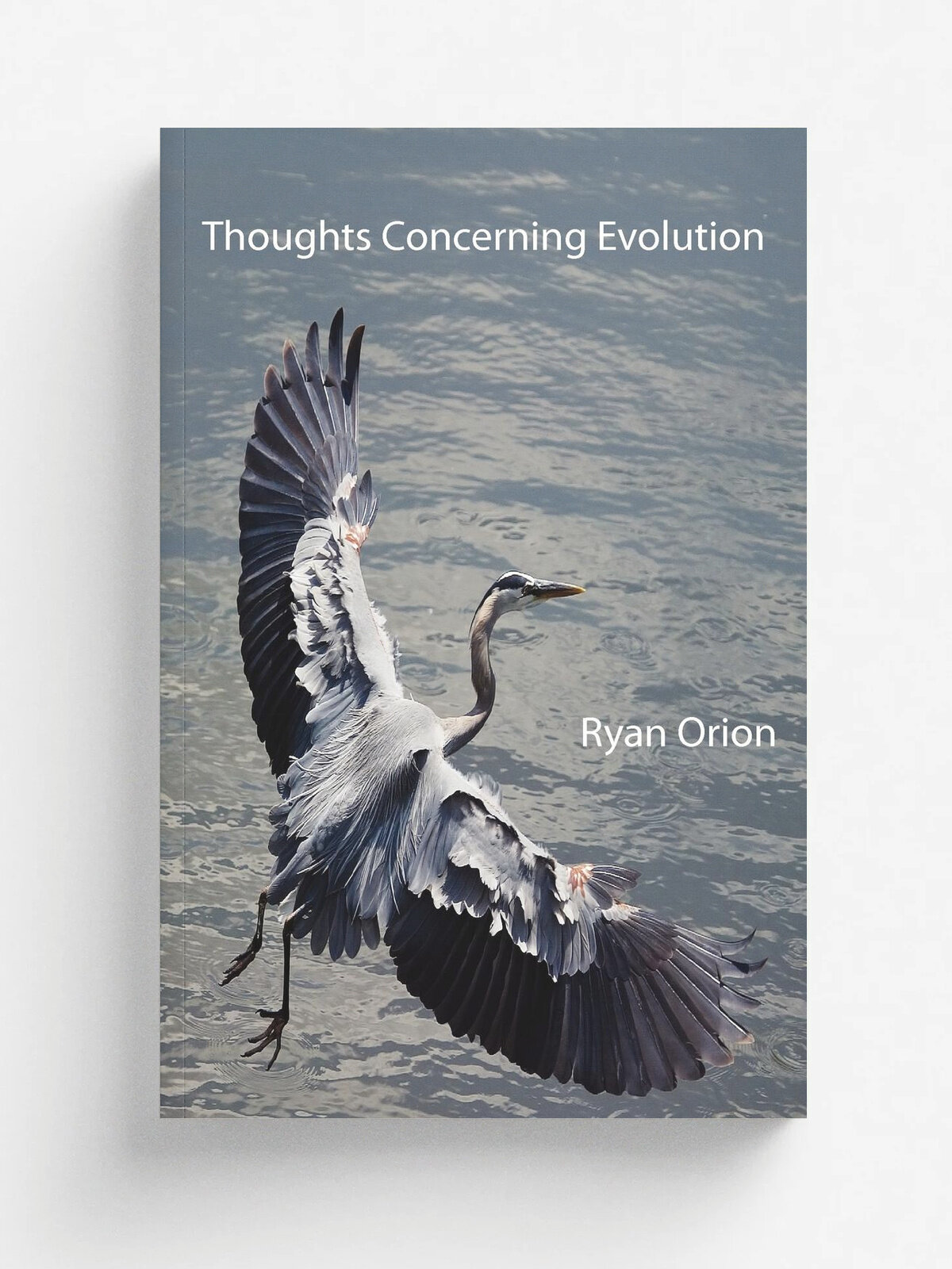 Thoughts Concerning Evolution