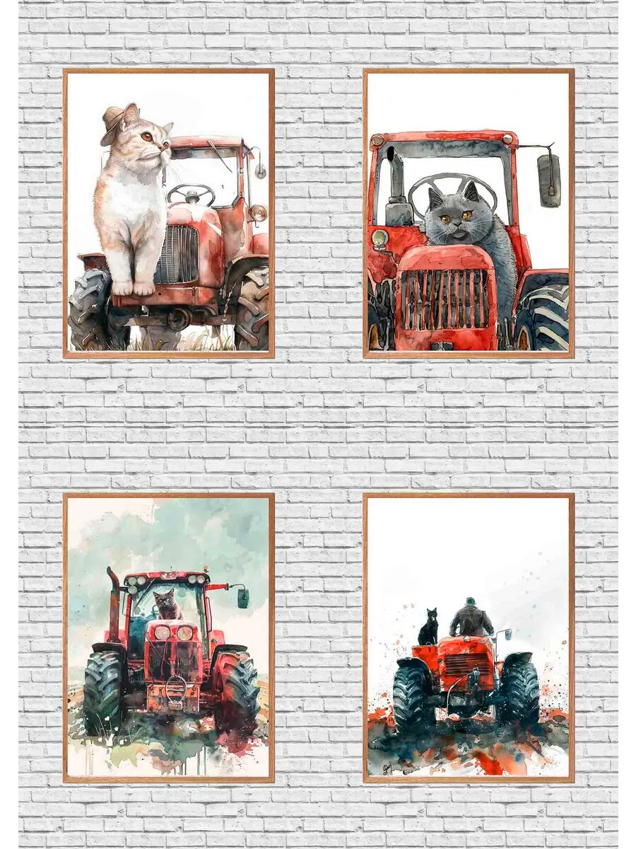 Шотландская вислоухая кошка-фермер, 4 Плаката, 30x21см