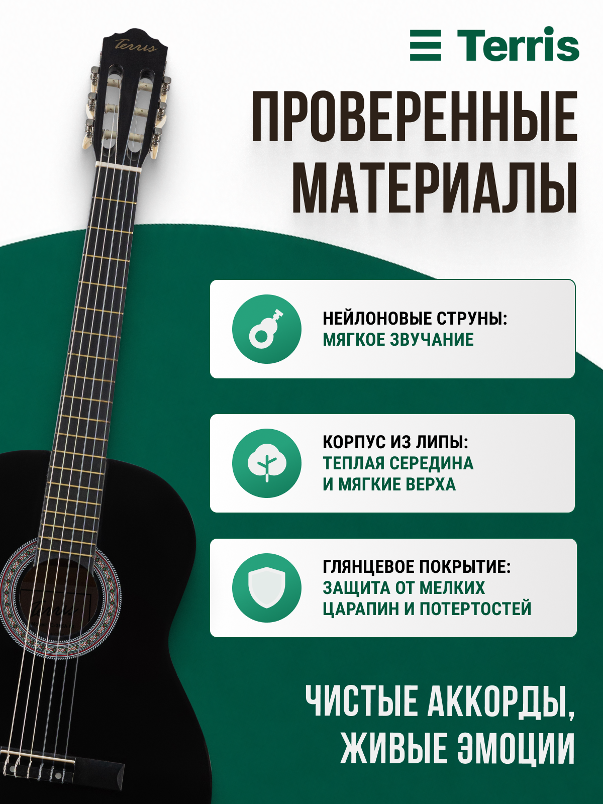 TERRIS TC-395A BK Классическая гитара: 4/4, черная, нейлоновые струны, с анкером — фото 1