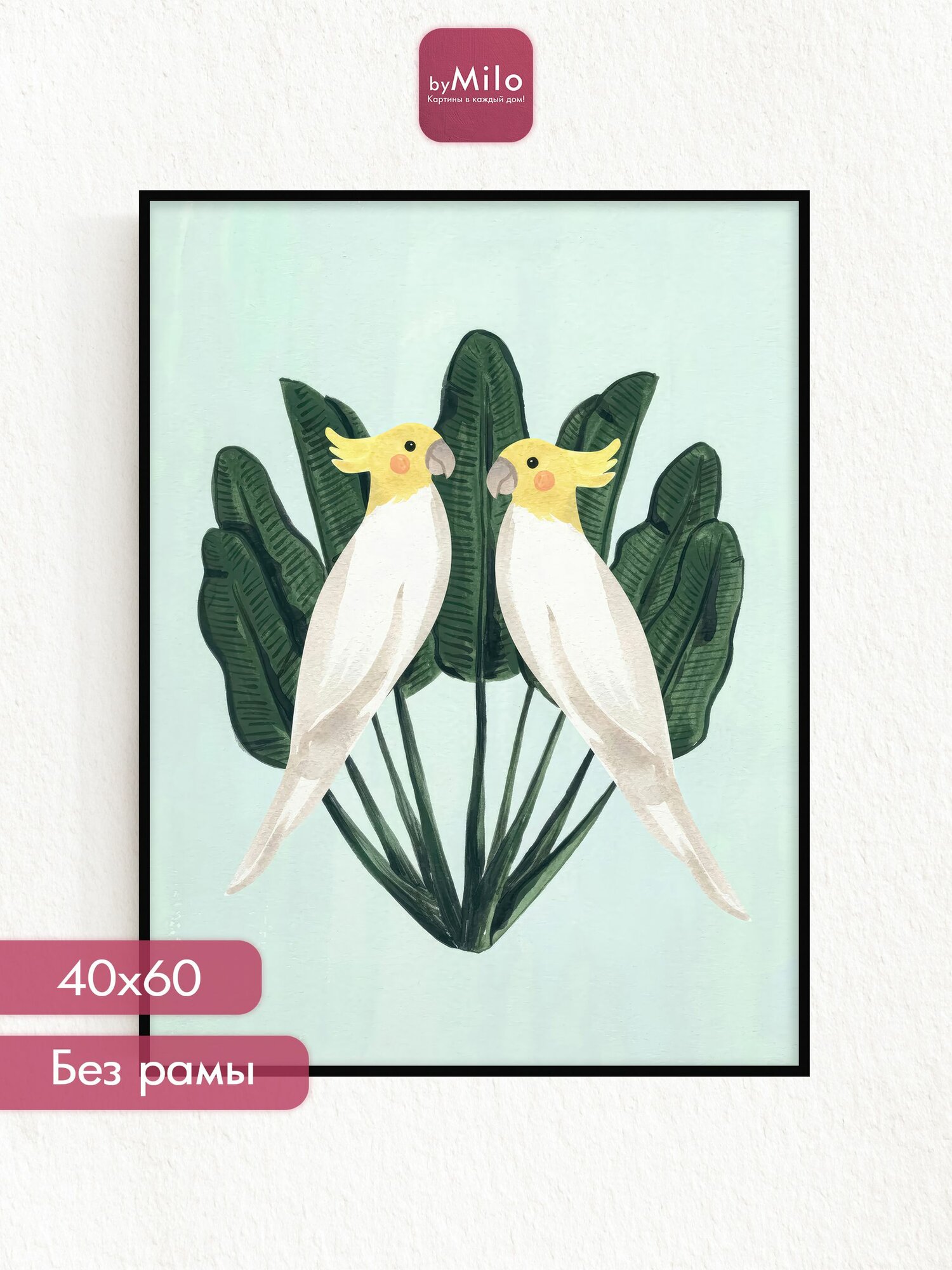 Постер на стену "Cockatiels", 40х60см