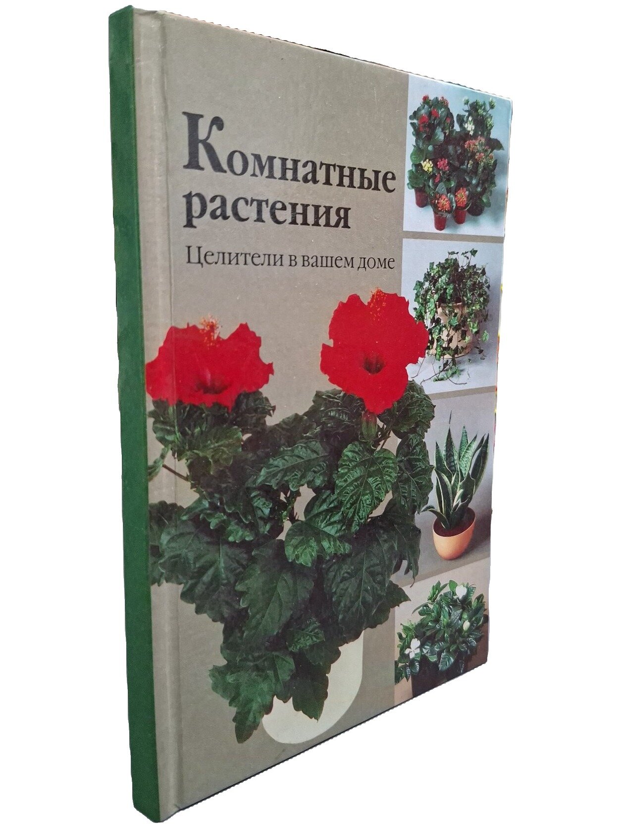 Комнатные растения. Целители в вашем доме. Гортинский Георгий Борисович. Фитон XXI. 2000. Твердый переплет. 160 стр