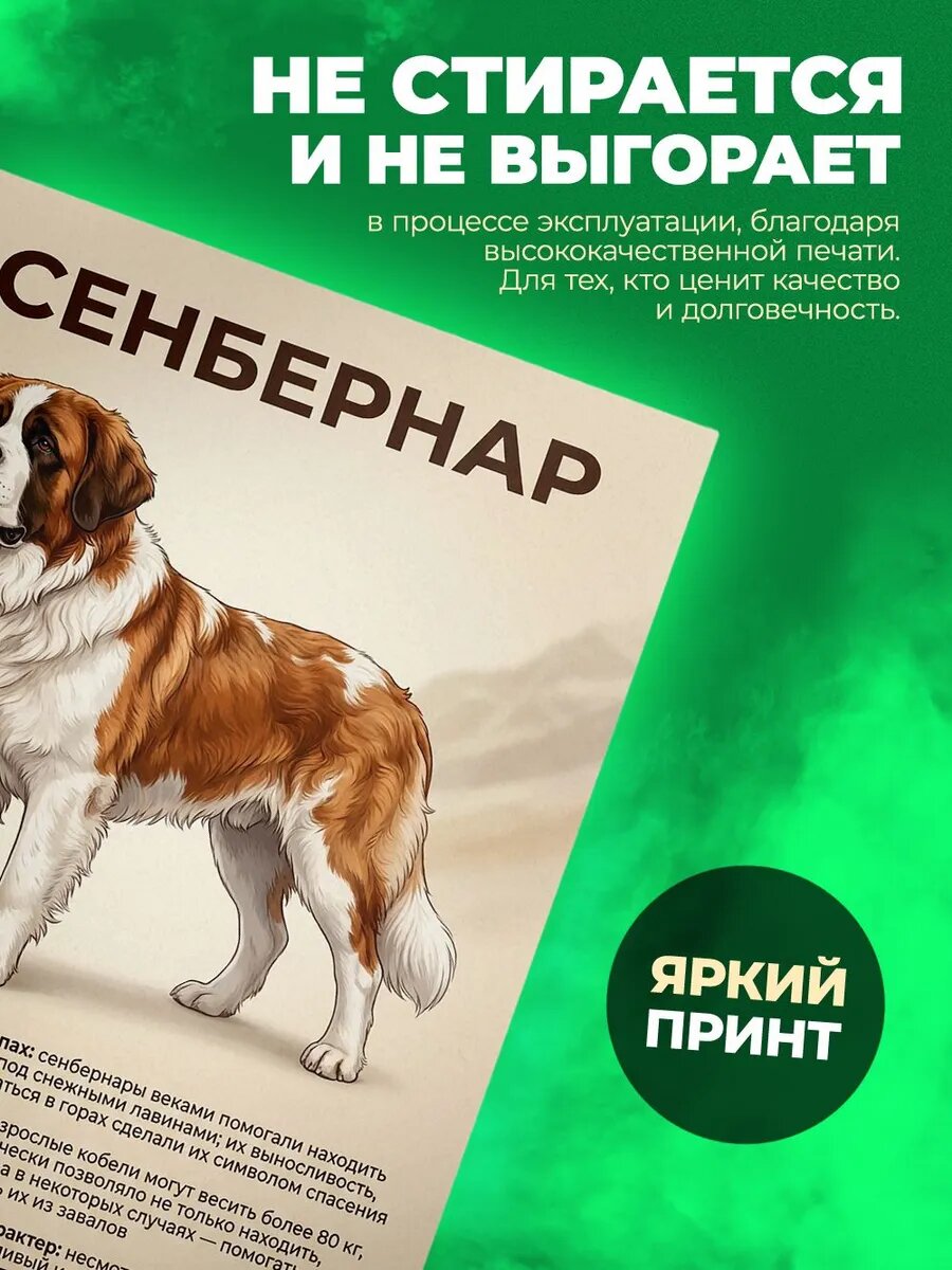 Тетрадь - А5 - Сенбернар — фото 1
