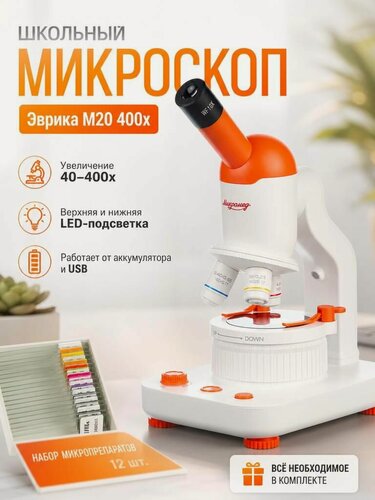 Изображение товара Микроскоп 40х-400х школьный Эврика M20 биологический детский