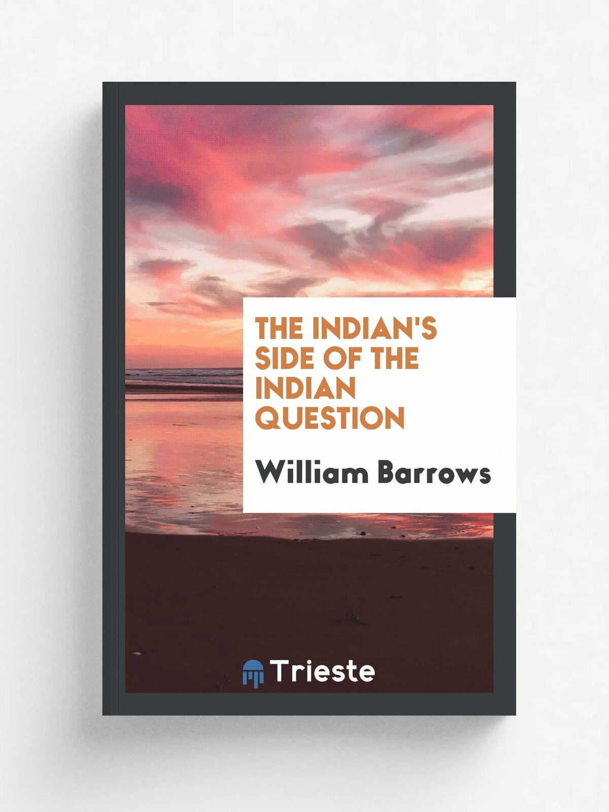 The Indian's side of the Indian question
