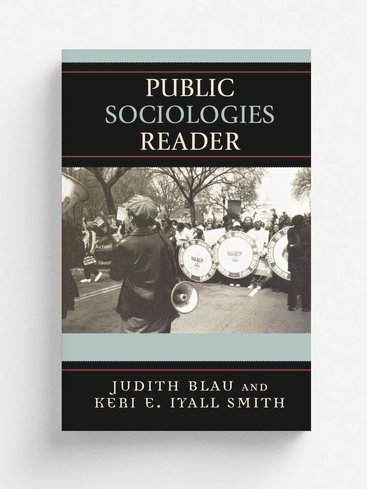 Public Sociologies Reader