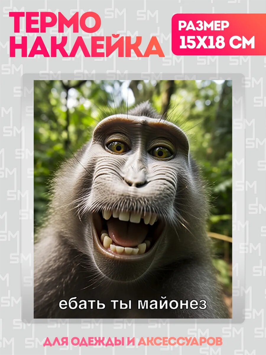Термонаклейка на одежду обезьяна мем ты майонез