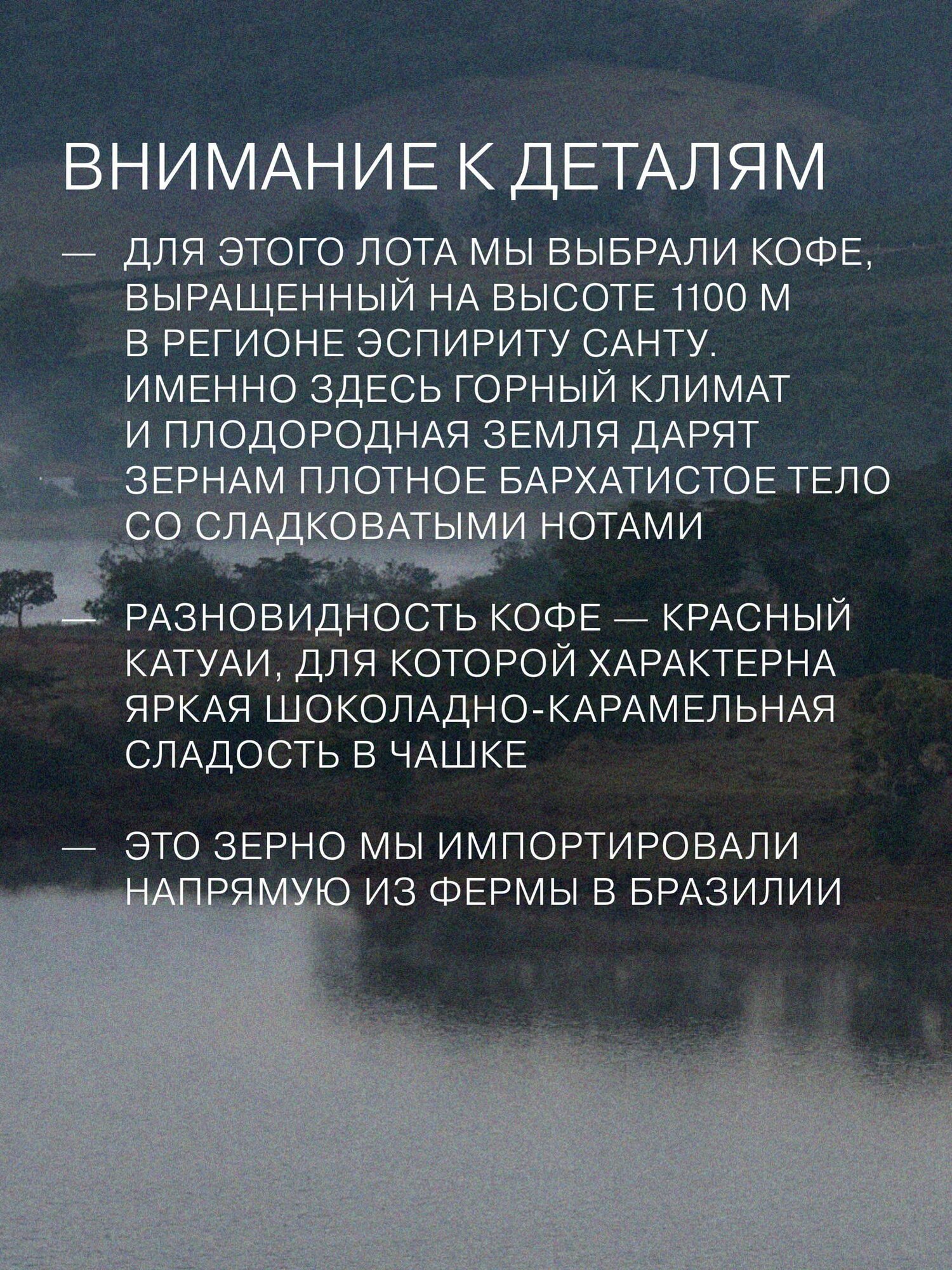 Кофе в зернах - Бразилия Фазенда Ум Вермельо - Эспрессо - 0,2 кг - Verle — фото 1