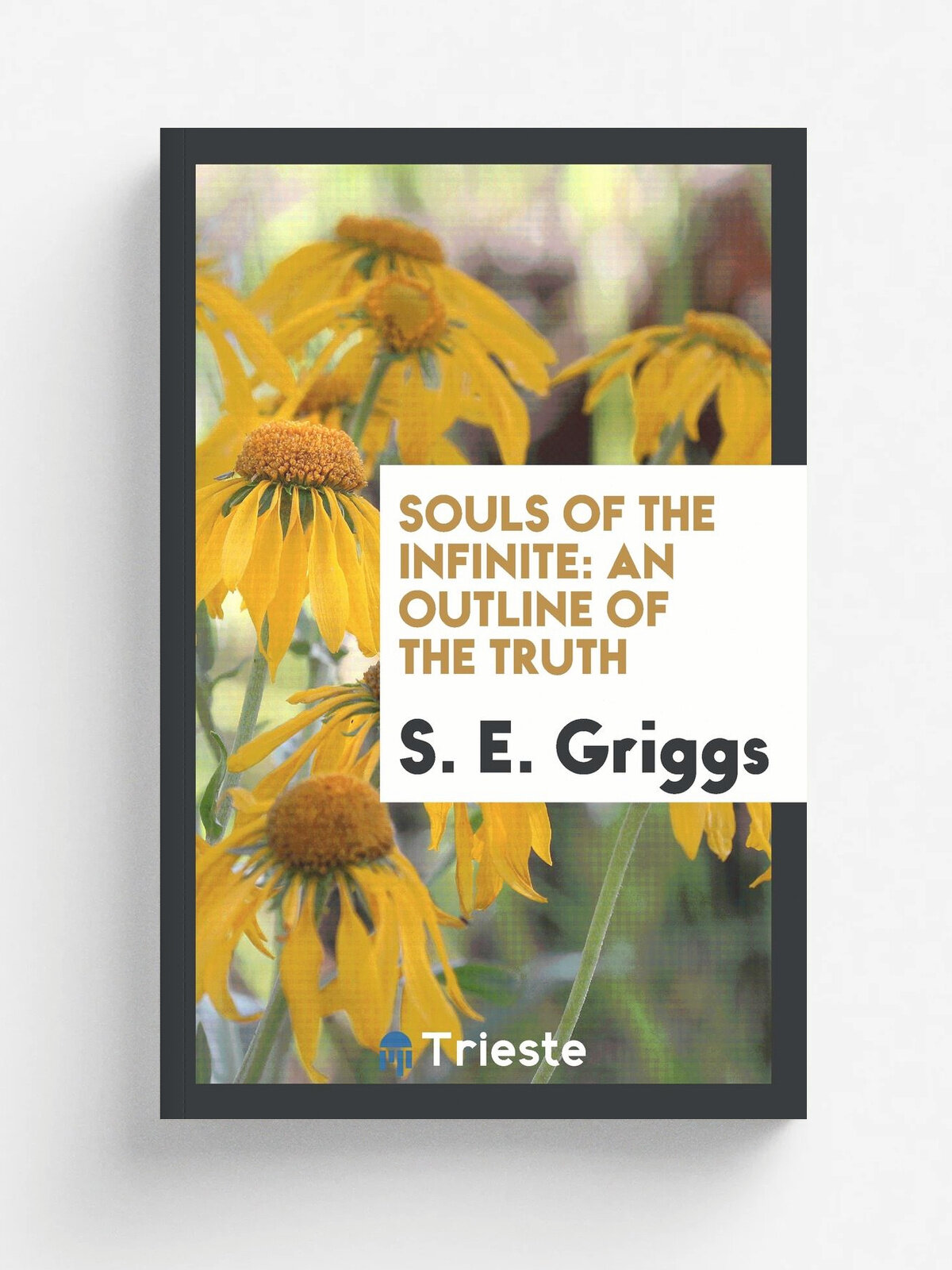 Souls of the infinite. an outline of the truth